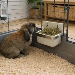 Mangeoire lapins et rongeurs en fibre de verre coloris crème 300 ml*