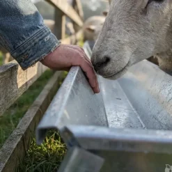 Mangeoire linéaire galvanisée moutons brebis chèvres* Hot