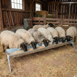 Mangeoire linéaire galvanisée moutons brebis chèvres* Hot