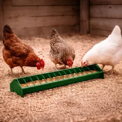Mangeoire linéaire volailles plastique 50 cm*River Systems Sale