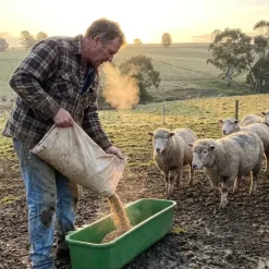 Mangeoire longue plastique et fibre de verre à suspendre* Best