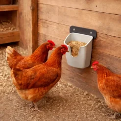 Mangeoire murale volailles V Feedr 525 g*Olba Outlet