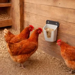 Mangeoire murale volailles V Feedr 350 g*Olba