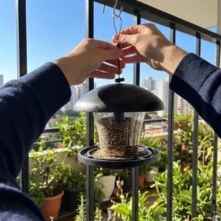 Mangeoire oiseaux transparente 19x17cm avec corde suspension* Online