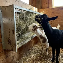 Mangeoire Ratelier mural ovins caprins 207 x 32 x 60 cm* Outlet