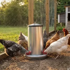 Mangeoires volaille à trémie métal 5kg en lot de 5*