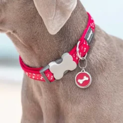 Médaille gravable pour chien - Ø 3cm - Acier inoxydable*RedDingo Sale