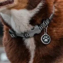 Médaille gravable pour chien - Ø 3 cm - Acier inoxydable*RedDingo Online