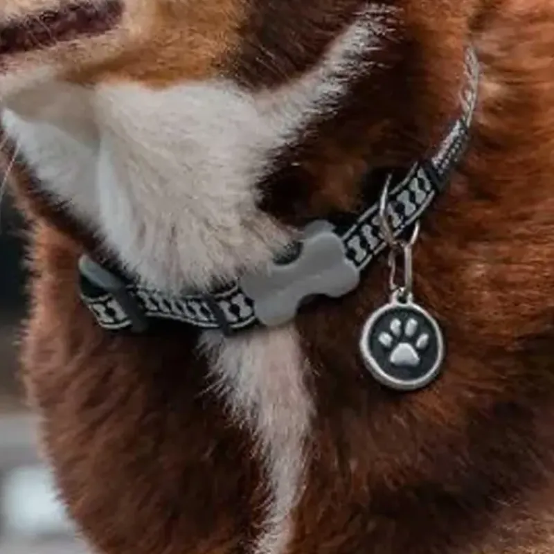Médaille gravable pour chien - Ø 3 cm - Acier inoxydable*RedDingo Online