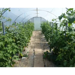 Mini serre de jardin avec aération Largeur 3.70 m*Les Serres Tonneau Sale