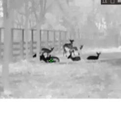 Monoculaire Lynx vision thermique 15,8 x 6,1 x 5,7cm IP67*HIKMICRO