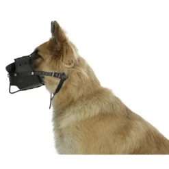 Muselière pour chien en cuir* Clearance