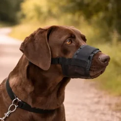 Muselière pour chien en nylon* Online