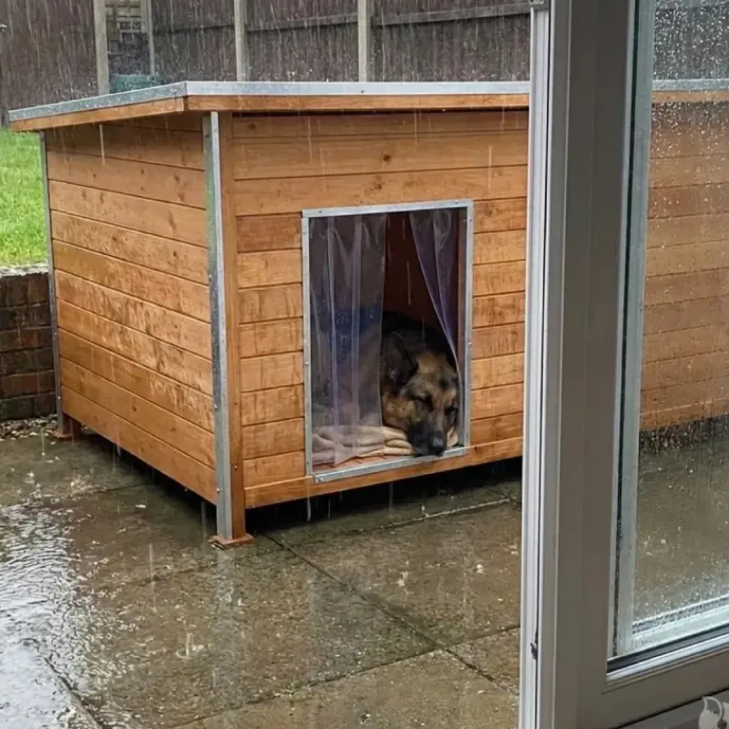 Niche isolée pour chien en bois – Extérieur été/hiver – 160 x 75 x 75 cm* Hot