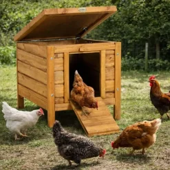 Nichoir abri poulailler Bois forme cube 42 x 51,5 x H 43 cm* Sale