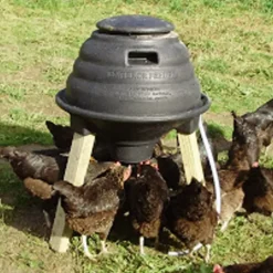 Nourrisseur empereur plastique mat 70 L* Online