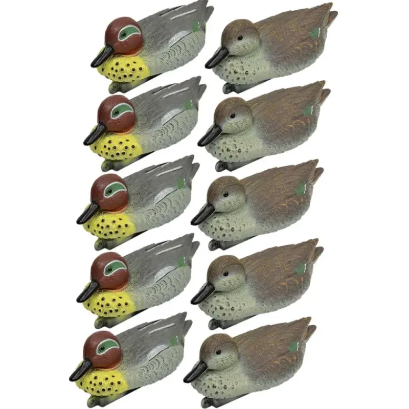 Pack 5 sarcelles mâles et 5 femelles* Clearance