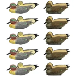 Pack 5 sarcelles mâles et 5 femelles moussés* Best