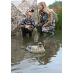 Pack de 6 Colvert Femelle Ultra HD moussé*Stepland Online