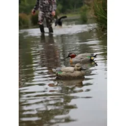 Pack de 6 Sarcelle Femelle Ultra HD moussé en plastique*Stepland Hot