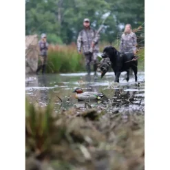 Pack de 6 Sarcelle Male Ultra HD moussé, en plastique semi-rigide*Stepland New