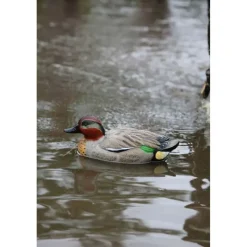 Pack de 6 Sarcelle Male Ultra HD moussé, en plastique semi-rigide*Stepland New