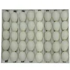 Panier d'incubation pour 40 oeufs d'oie TR40* New