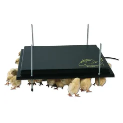 Panneau chauffant 15 W*Olba Discount