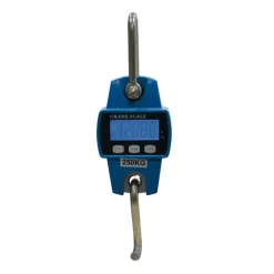 Peson électronique 250 kg boitier métal graduation en 50g* Discount