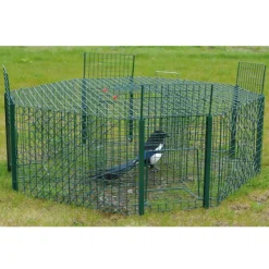 Piège à pies 5 compartiments maille carrée Ø 100cm x30cm* Online