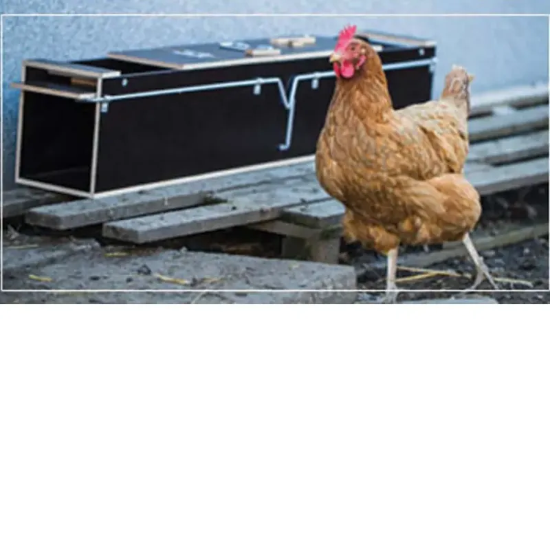 Piège boite à fauve bois 2 entrées ouverture 135x19x24* Hot