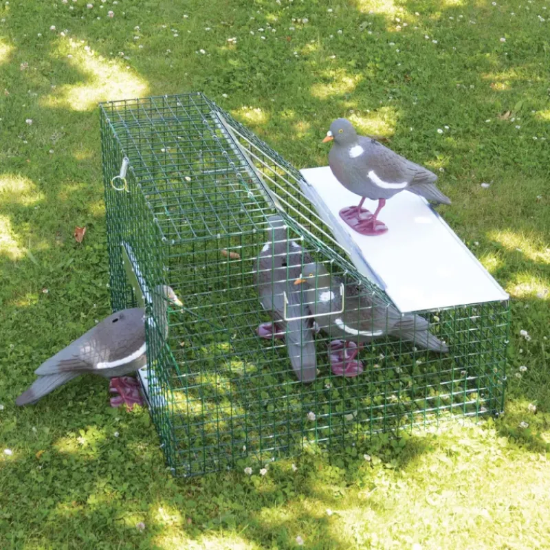 Piège cage à pigeons double entrée 60 X 60 X 45 cm* Sale