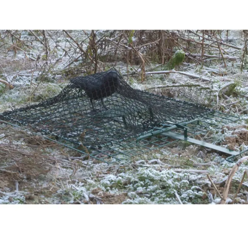 Piège oiseaux à filet à poser à plat 70 x 70 cm* Discount