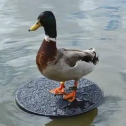 Plateau flottant pour appelant plastique solide Ø 34 cm à l'unité* Online