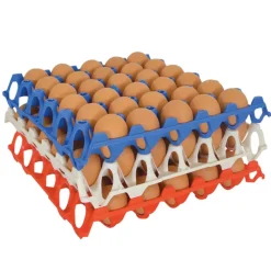 Plateau oeufs plastique empilable 30X30 CM alimentaire*