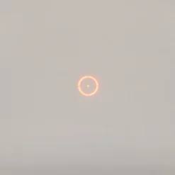 Point rouge Electrosight à réticule de visée multiple L 8cm*SightOptics Best