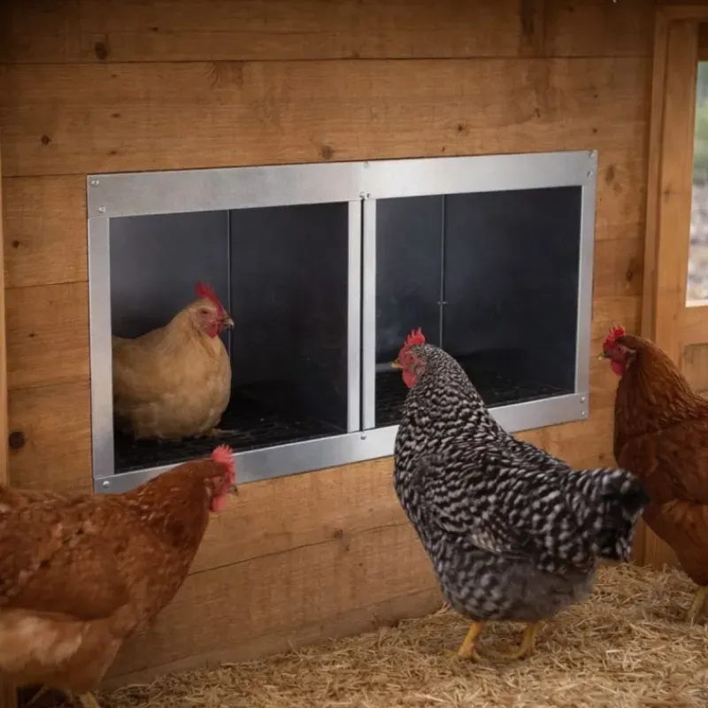 Pondoir galvanisé ramassage extérieur 2 cases* Hot