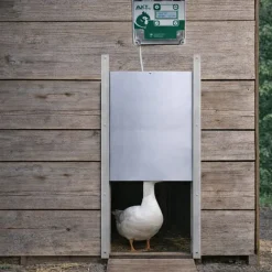 Portier à horloge + trappe oie 33x50cm* Online