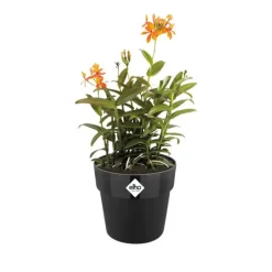 Pot de fleurs Ø22xH20cm noir en plastique recyclé avec réservoir d'eau intégré*Elho Clearance