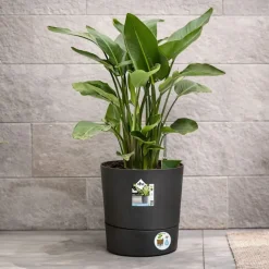 Pot de jardin Ø43xH43cm gris anthracite ® en plastique recyclé*Elho Clearance