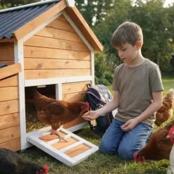 Poulailler bois 3 poules Confort toit plastique 112 x 77 x 92 cm*Ducatillon New