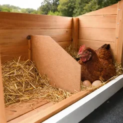 Poulailler bois 3 poules Confort toit plastique 112 x 77 x 92 cm*Ducatillon New