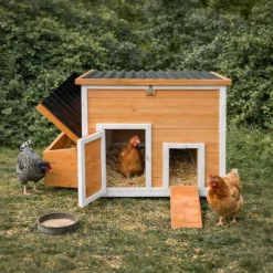 Poulailler Hefa+ en pin traité avec toit plastique - 6 poules* Sale