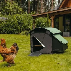 Poulailler plastique recyclé 5 à 9 poules* Hot