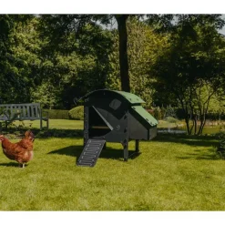 Poulailler sur pieds en plastique recyclé 5 à 9 poules*