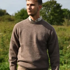 Pull Roanne col rond brun* Hot