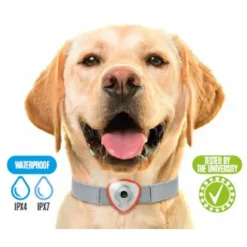 Répulsif électronique anti tiques et puces pour chien et chats orange* Clearance