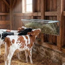 Râtelier à foin pour veaux métal galvanisé fixation murale* Best