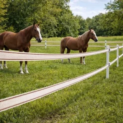 Ruban électrifié 40mm blanc liseré marron - 200m - Spécial cheval - CHAPRON LEMENAGER*Chapron-Lemenager New
