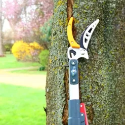 Sécateur téléscopique 2 en 1 - Coupe et scie extensible jusqu'à 4 m* Discount